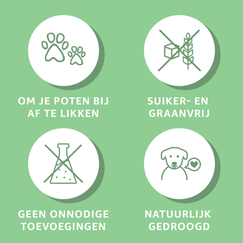 Kip Trainers - PetsTü - huB